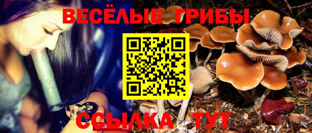 где можно купить наркотик  Псилоцибиновые грибы Psilocybe  Вход с VPN  Ростов Великий 